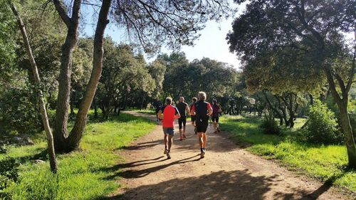 Rear view of people running on dirt road in park