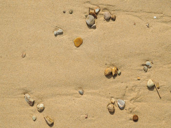 Directly above view of stones on sand at beach