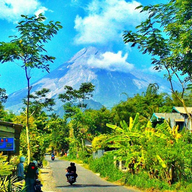 tree, sky, men, lifestyles, cloud - sky, transportation, cloud, mountain, leisure activity, person, growth, nature, beauty in nature, land vehicle, road, sunlight, day, built structure, green color