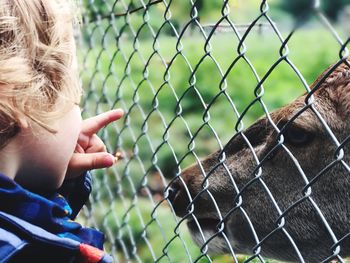 Close-up of boy pointing against fence