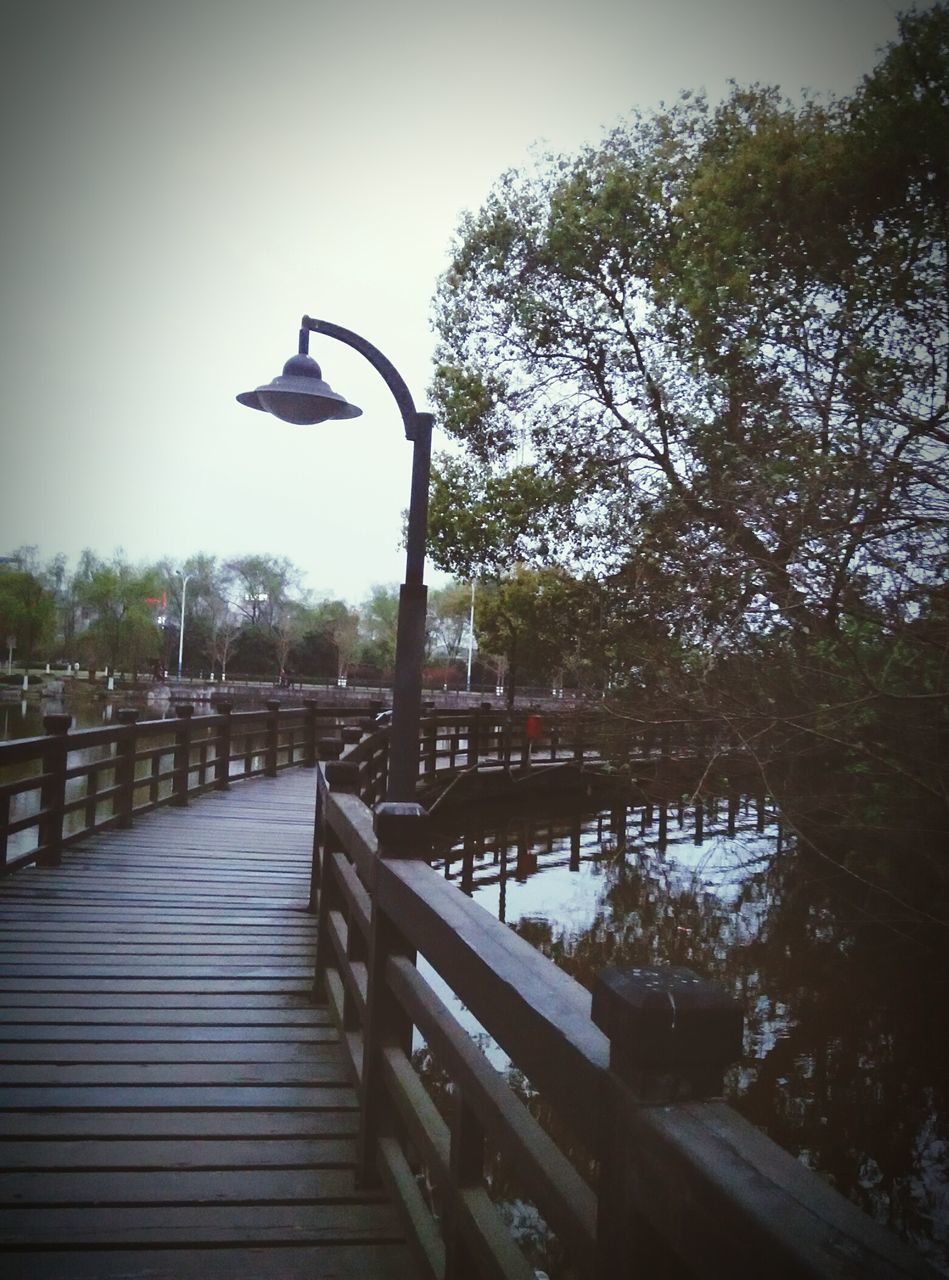 tree, railing, the way forward, wood - material, water, lake, tranquility, pier, footbridge, clear sky, boardwalk, sky, tranquil scene, wood, nature, river, empty, wooden, day, diminishing perspective