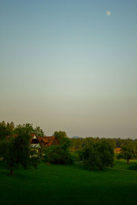 Trees on field against clear sky