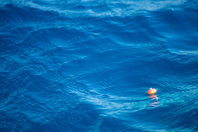 High angle view of man swimming in water