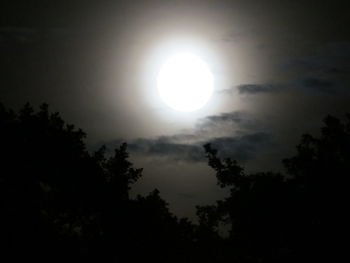 Silhouette trees against moon in sky