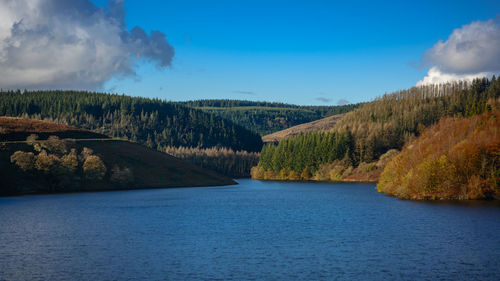 Scenic view of river by trees against sky