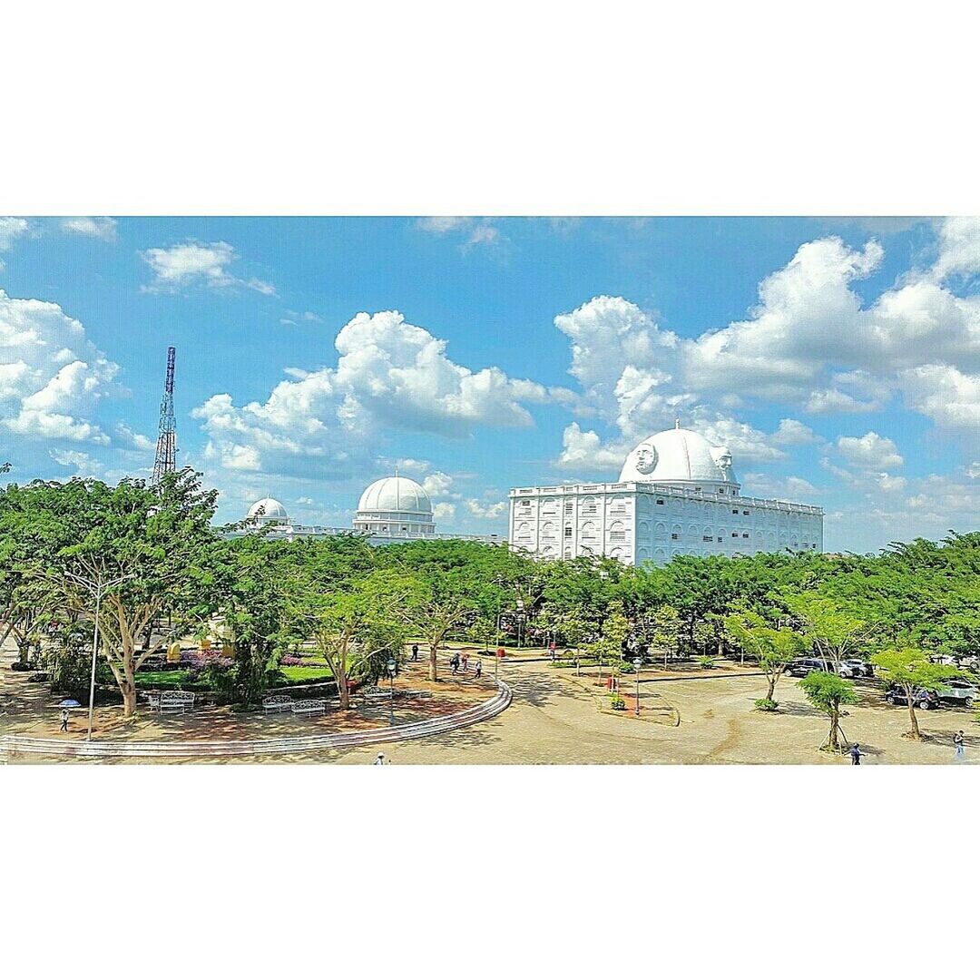 TREES AND SKY IN PARK AGAINST THE BACKGROUND