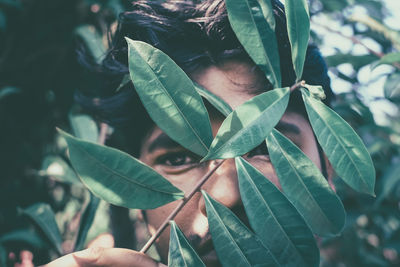 Close-up of hand holding leaves over face