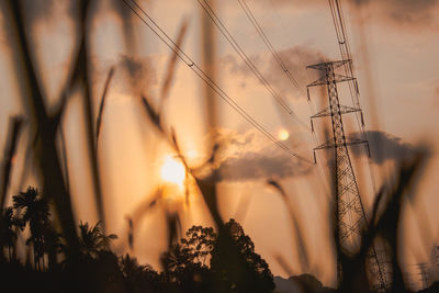 Close-up of silhouette plant against sky during sunset