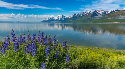 Scenic view of lake against cloudy sky