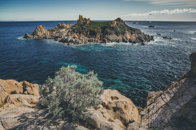 Cap camarat, ramatuelle, var, france