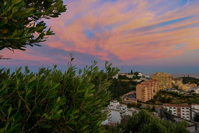 Trees and buildings against sky during sunset