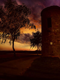 Silhouette tree by building against sky during sunset