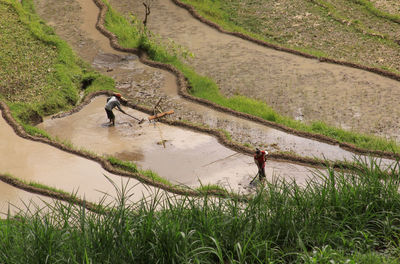 High angle view of men on field by lake