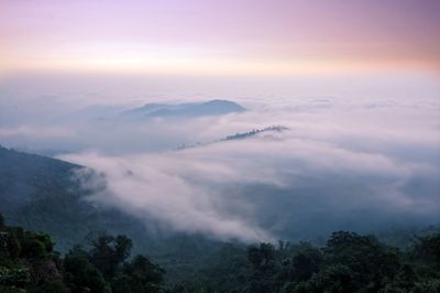 Aerial view of landscape