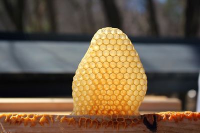 Close-up of orange on table