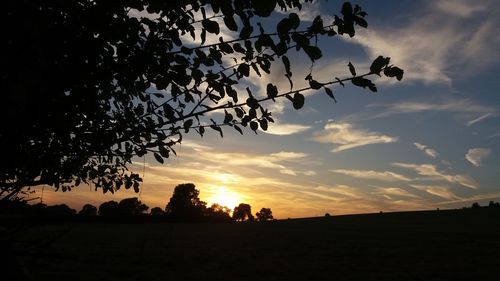 Low angle view of silhouette trees on landscape against sky