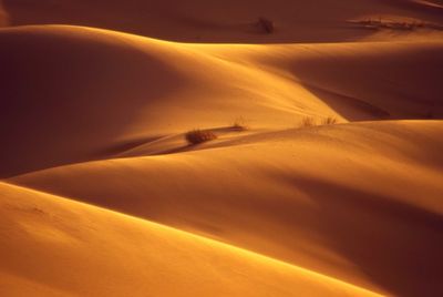 Scenic view of desert