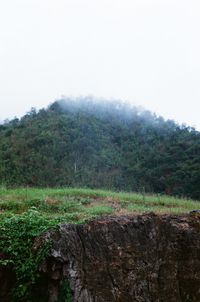 Scenic view of forest against sky during rainy season