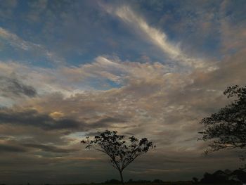 Silhouette tree against sky during sunset