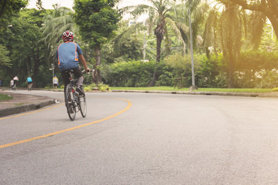 Man riding bicycle on road