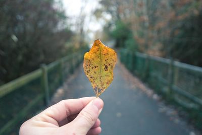 Cropped hand of person holding autumn leaf against footbridge