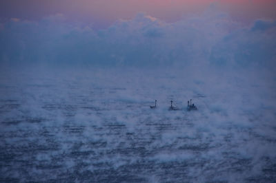 View of birds on sea against sky