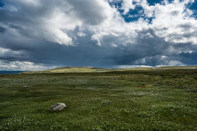 Landscape at hallingskarvet and prestholtseter, geilo, norway