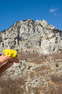 Cropped hand of woman holding flower against mountains