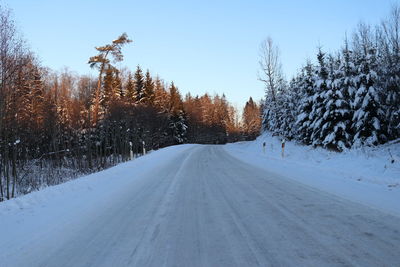 Snow covered road amidst trees against sky during winter