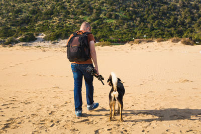 Full length of a dog on beach