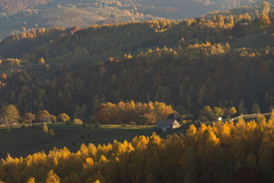 Scenic view of river amidst trees during autumn