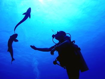 Man reaching towards fish while scuba diving in sea