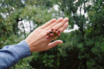 Cropped image of hand holding plant