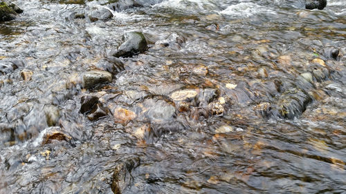 Full frame shot of rocks