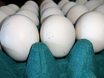 Close-up of eggs