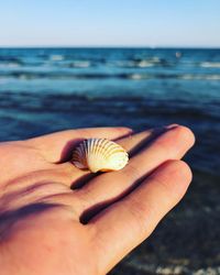 Close-up of hand holding shell over sea