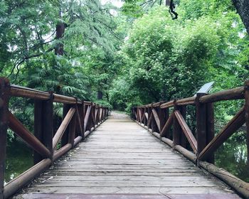 Wooden footbridge in forest