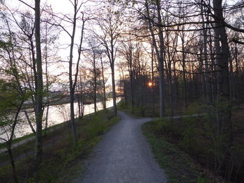 Road amidst trees in forest against sky