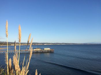 Scenic view of sea against clear blue sky