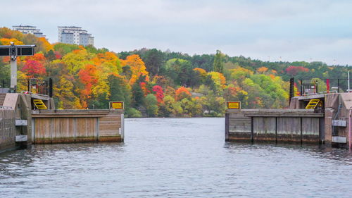 Scenic view of river by trees against sky