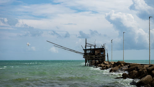 Crane in a sea