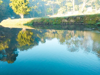 Reflection of trees in lake