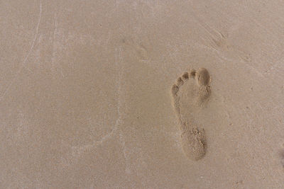 High angle view of footprints on wet sand