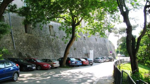 Cars on road in city