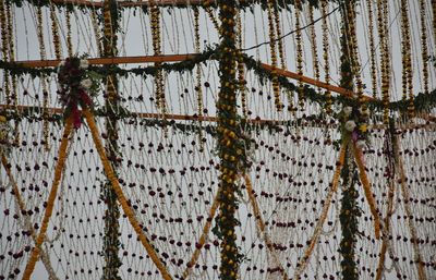 Low angle view of ropes hanging on wall against building