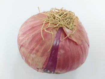 Close-up of pumpkin against white background