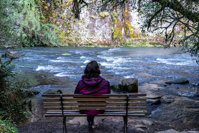 Rear view of woman sitting on bench against trees