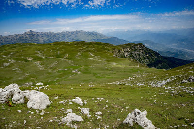 Scenic view of landscape against sky