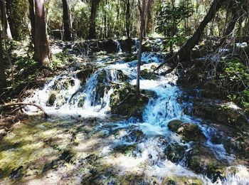 Stream flowing through rocks in forest