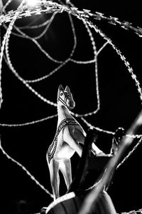 Close-up of shoes against black background